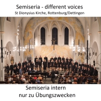 Different voices Aufnahmen 2019
